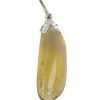 Citrien Natuur hanger