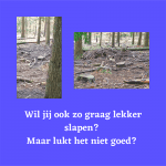 ECK Goede Nachtrust