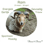 RAM