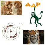 Stichting AAP