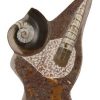 orthoceras-met-goniatiet-beeld-klein Beeld met Goniatiet en Orthoceras