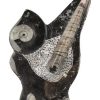 orthoceras-met-goniatiet-beeld-klein (2) Beeld met Goniatiet en Orthoceras