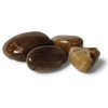 Versteend Hout Trommelsteen