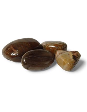 Versteend Hout Trommelsteen