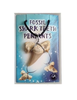 Haaientandhanger met ketting in doosje