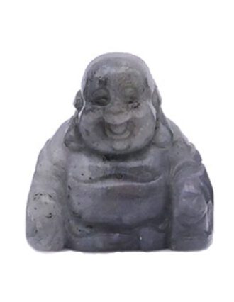 Labradoriet Boeddha