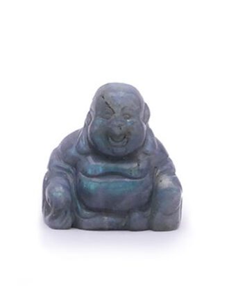 Labradoriet Boeddha