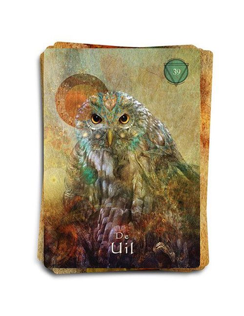 Het-Mystieke-Sjamanen-Orakel-Kaarten-Set-3 Het mystieke sjamanen orakel kaarten set