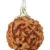 Rhudraksha-hanger Rhudraksha hanger