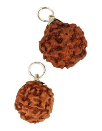 Rhudraksha hanger
