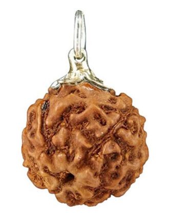 Rhudraksha hanger