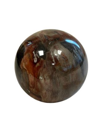 Versteend Hout bol