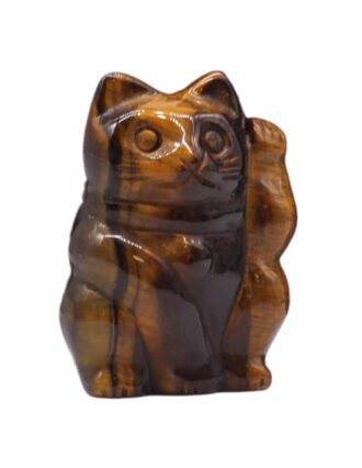 Tijgeroog Lucky Cat