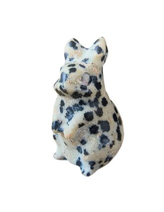 Jaspis Dalmatiër konijn