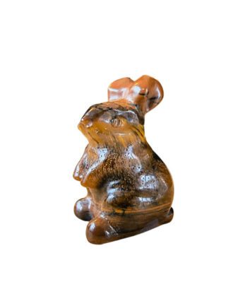 Tijgeroog konijn