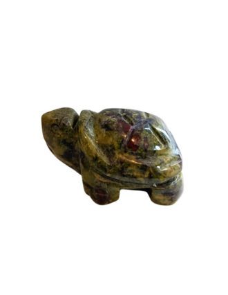 Drakenbloed Jaspis schildpad