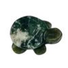 Mosagaat schildpad