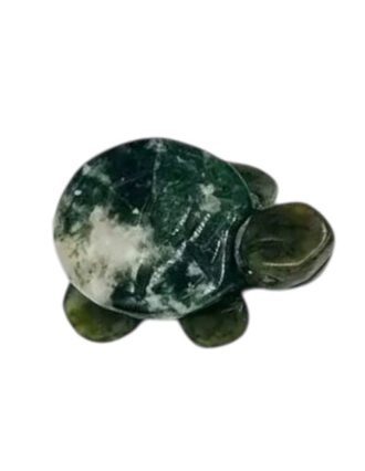 Mosagaat schildpad