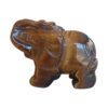 Tijgeroog olifant