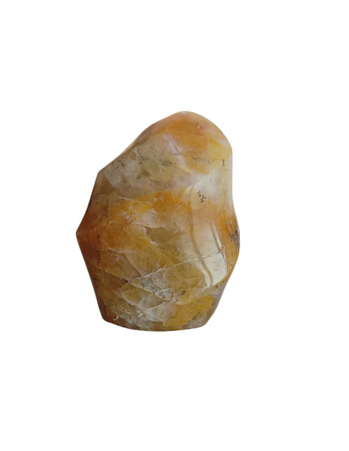 Golden-Healer-vlam Golden Healer vlam