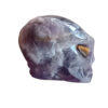 Amethist alien schedel