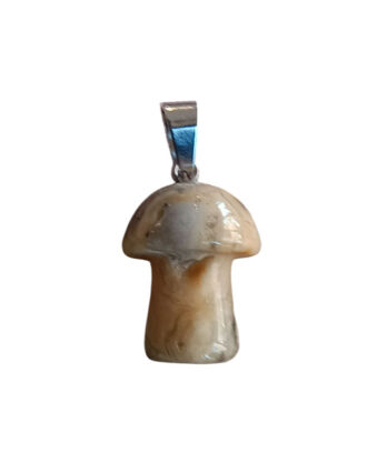 Crazy lace agaat paddenstoel hanger