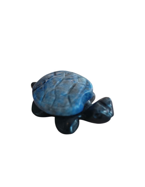Lapis-schildpad Lapis Lazuli schildpad