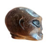 Tijgeroog alien schedel
