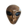 Tijgeroog alien schedel