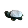 Howliet wit schildpad