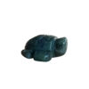 Mosagaat schildpad