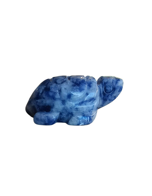 Sodaliet--mini-schildpad Sodaliet schildpad