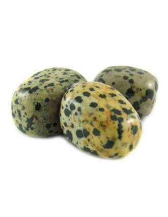 Jaspis Dalmatiër trommelsteen