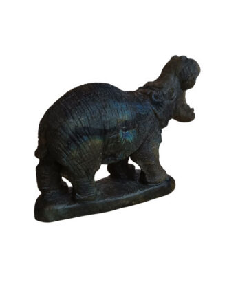 Labradoriet nijlpaard