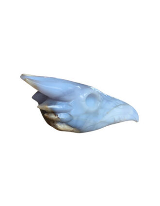 Chalcedoon Feniks schedel