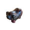 Obsidiaan-mahonie-varken Obsidiaan Mahonie varken