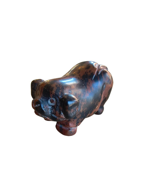 Obsidiaan-mahonie-varken Obsidiaan Mahonie varken